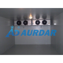Professional Cold Room/Freezer with PU Sandwich Panel in Changzhou